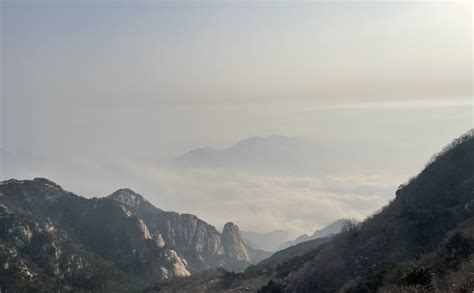 泰山 得正|得正 X 你訂